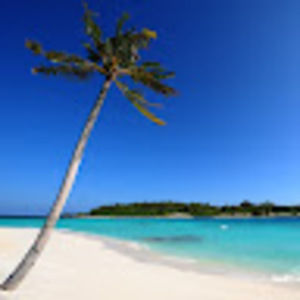 Meet your Posher, Tanjala